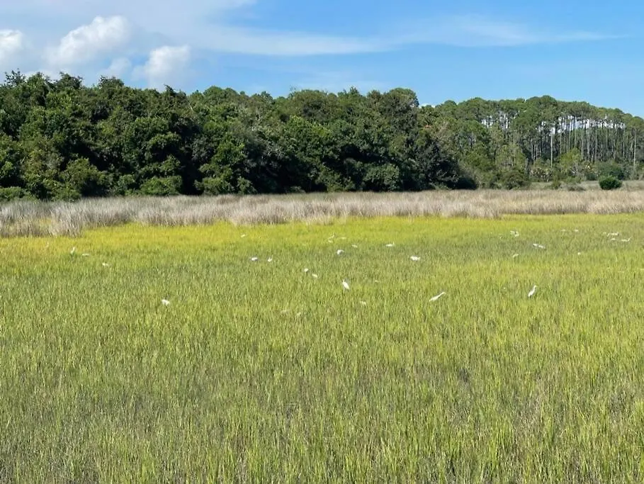 Daze-2 Bedroom, Short Walk To The * Hilton Head Island