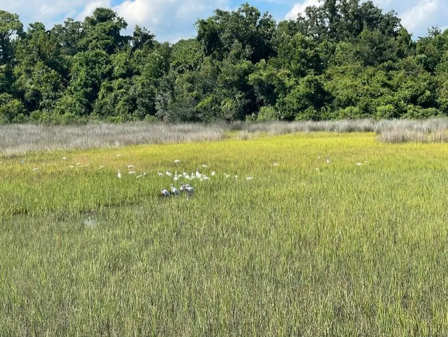 Daze-2 Bedroom, Short Walk To The Apartment Hilton Head Island