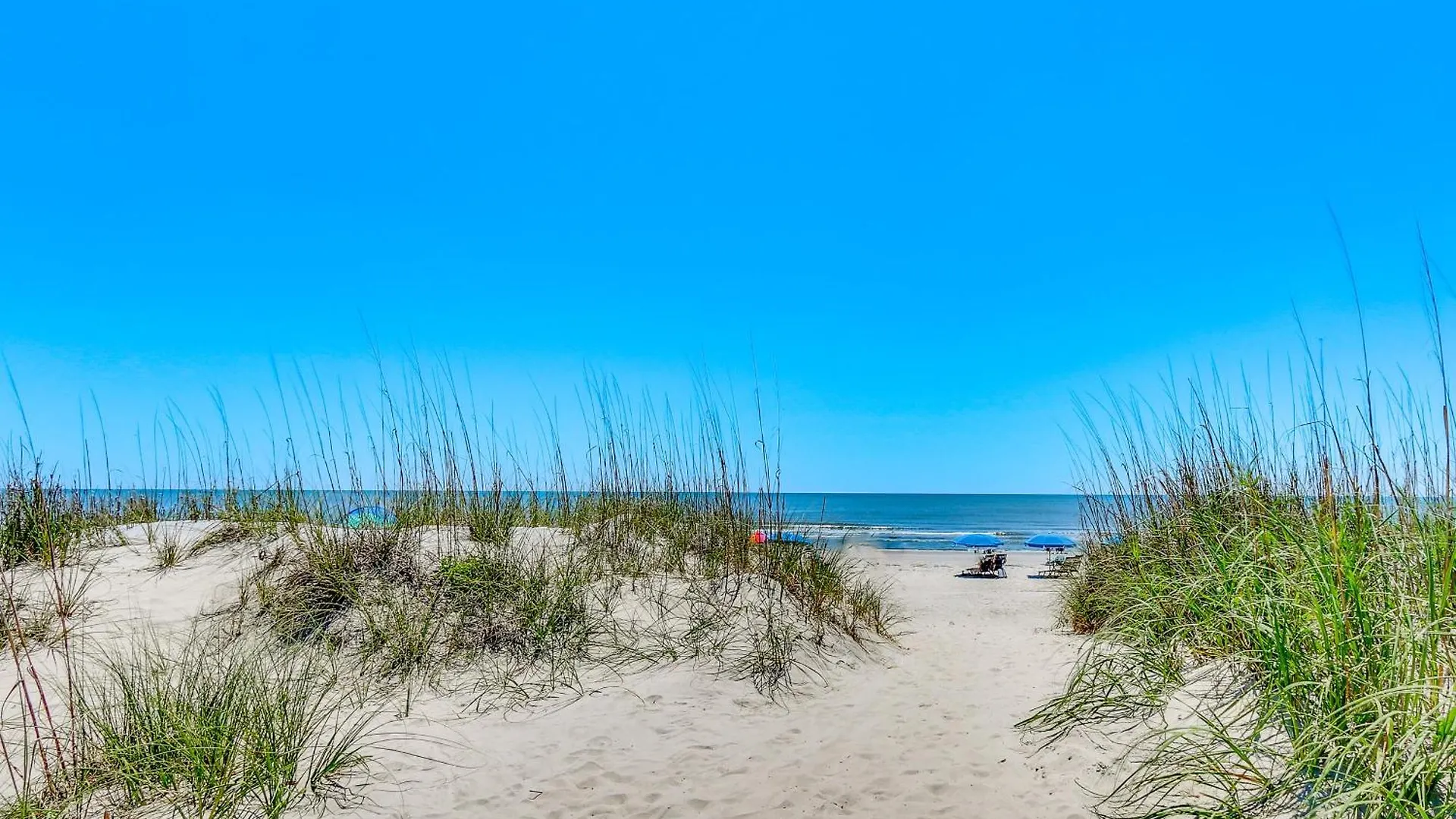 2 Mi To Dog-friendly Hilton Head Condo!