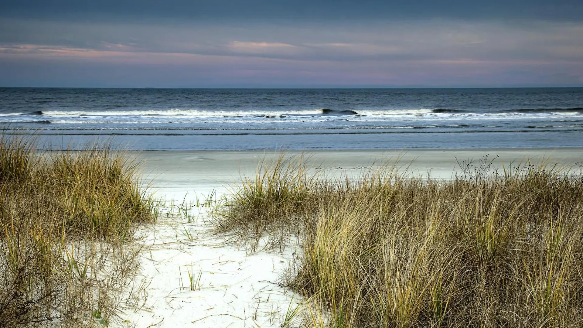 Fiddlers Cove * Hilton Head Island