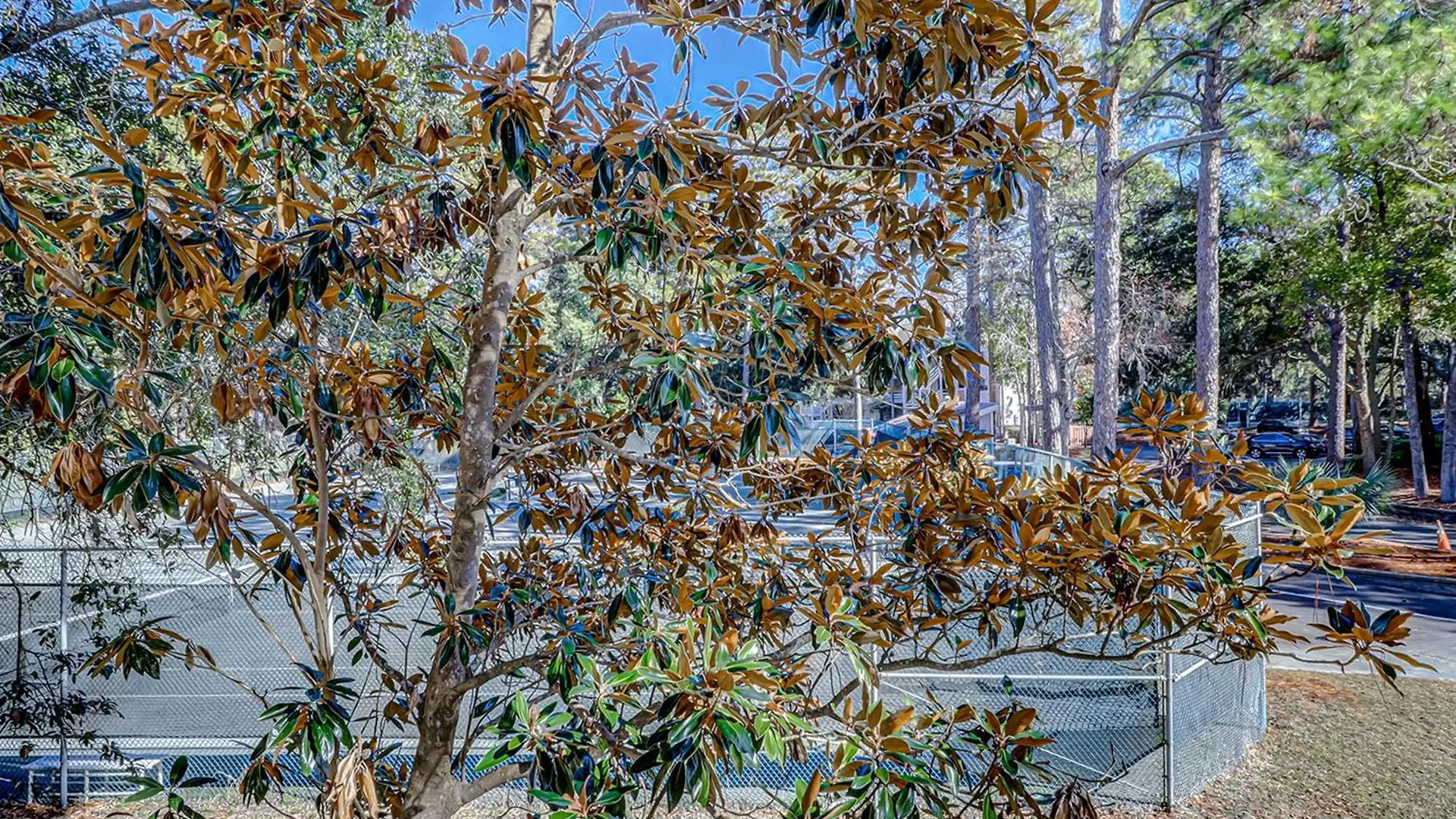 Fiddlers Cove Holiday home