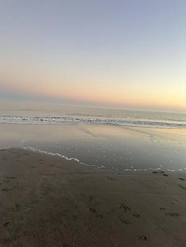 Holiday home Walk To Pet Friendly Bbq Grill *