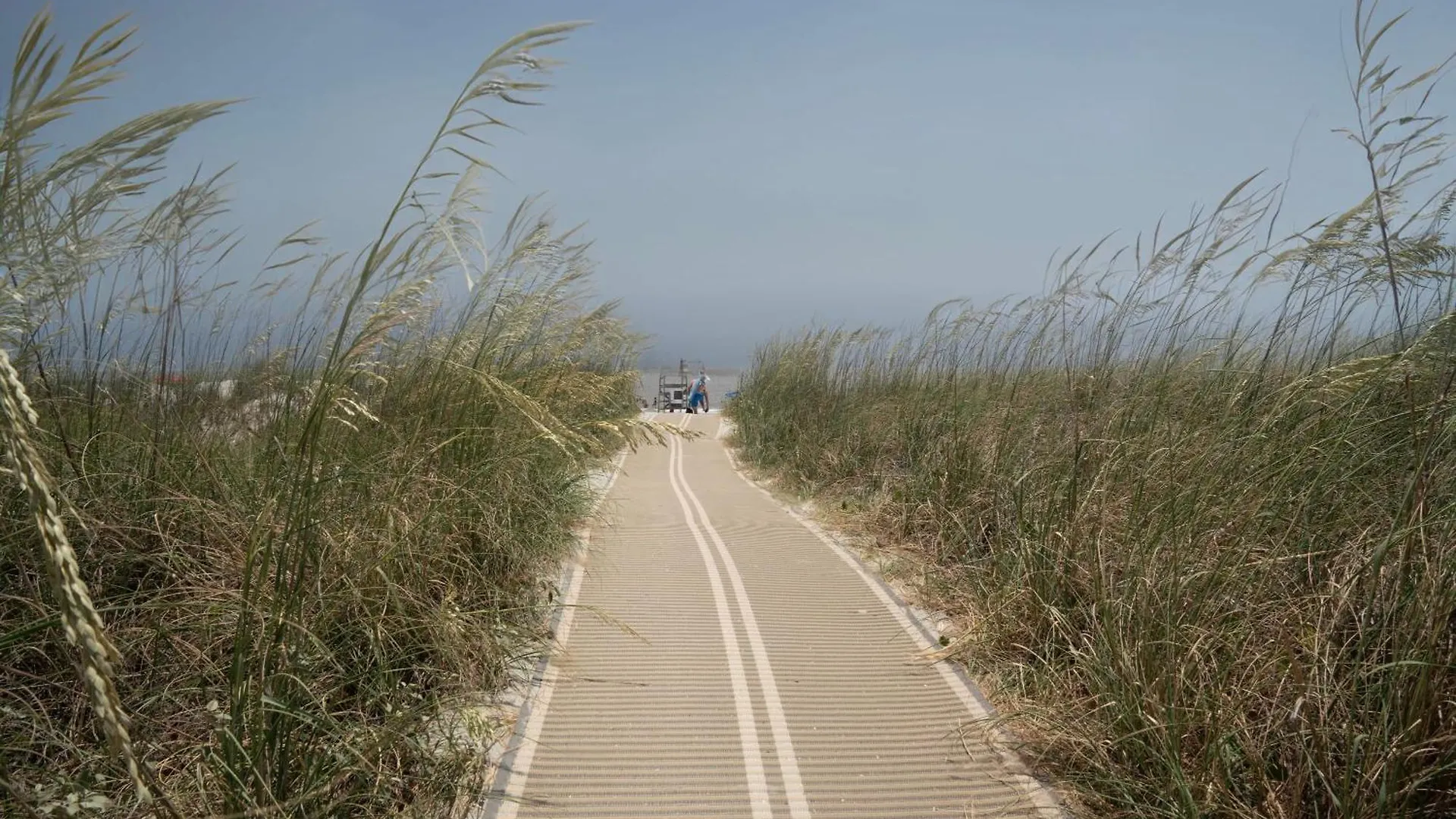 Walk To Pet Friendly Bbq Grill Hilton Head Island