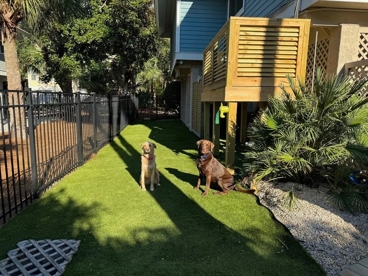 2nd Row 5 Bed 3 And One Half Bath Pet Friendly Ocean View House Σπίτι διακοπών *