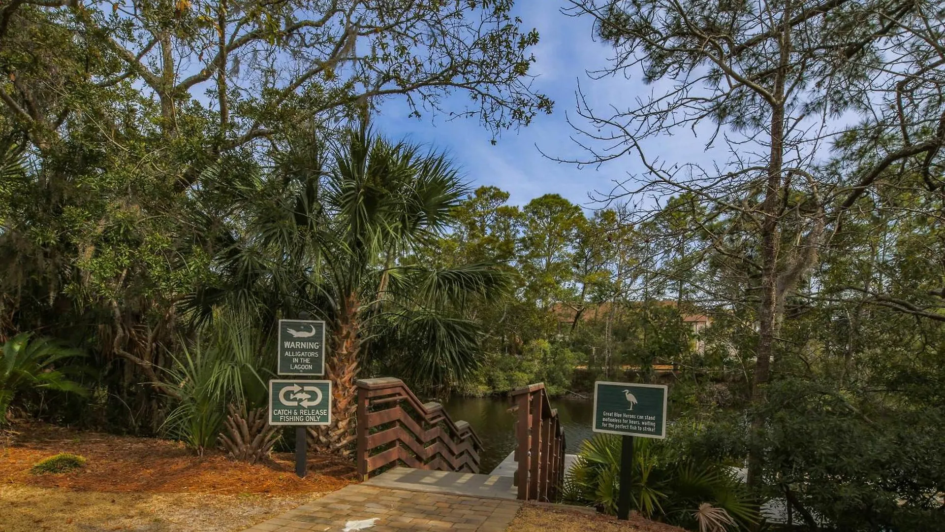 Rest A Shored * Hilton Head Island