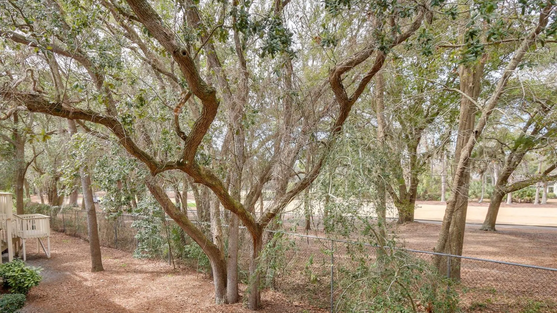 Oasis, 2 Blocks To * Hilton Head Island