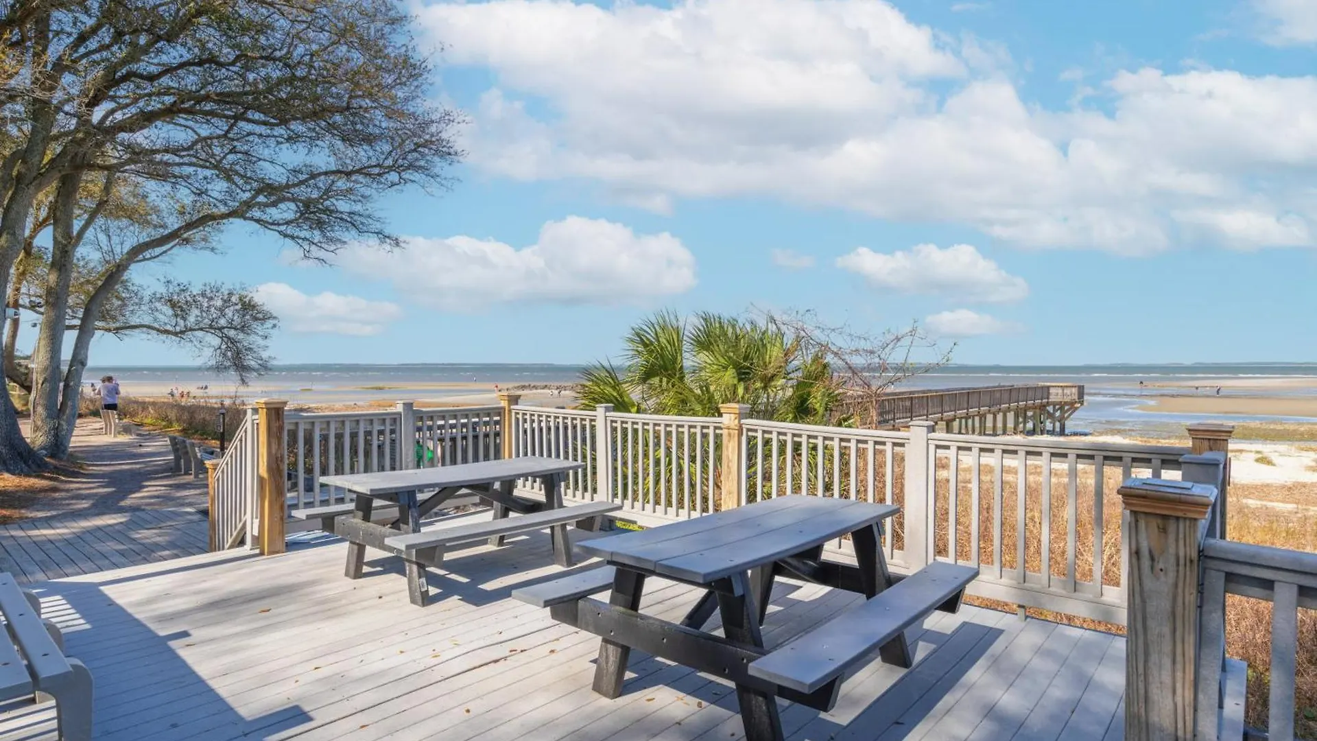Peaceful Treetop - 2br/2ba Apartment *