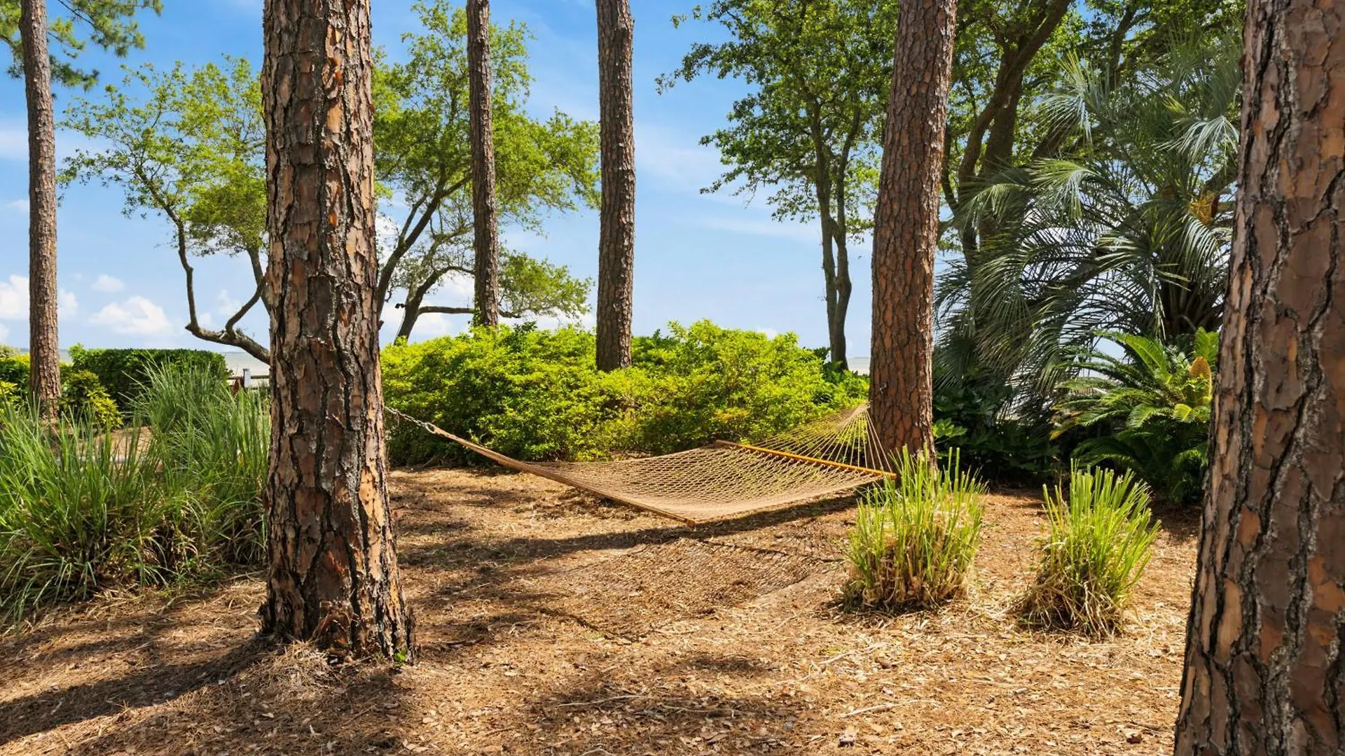 Peaceful Treetop - 2br/2ba