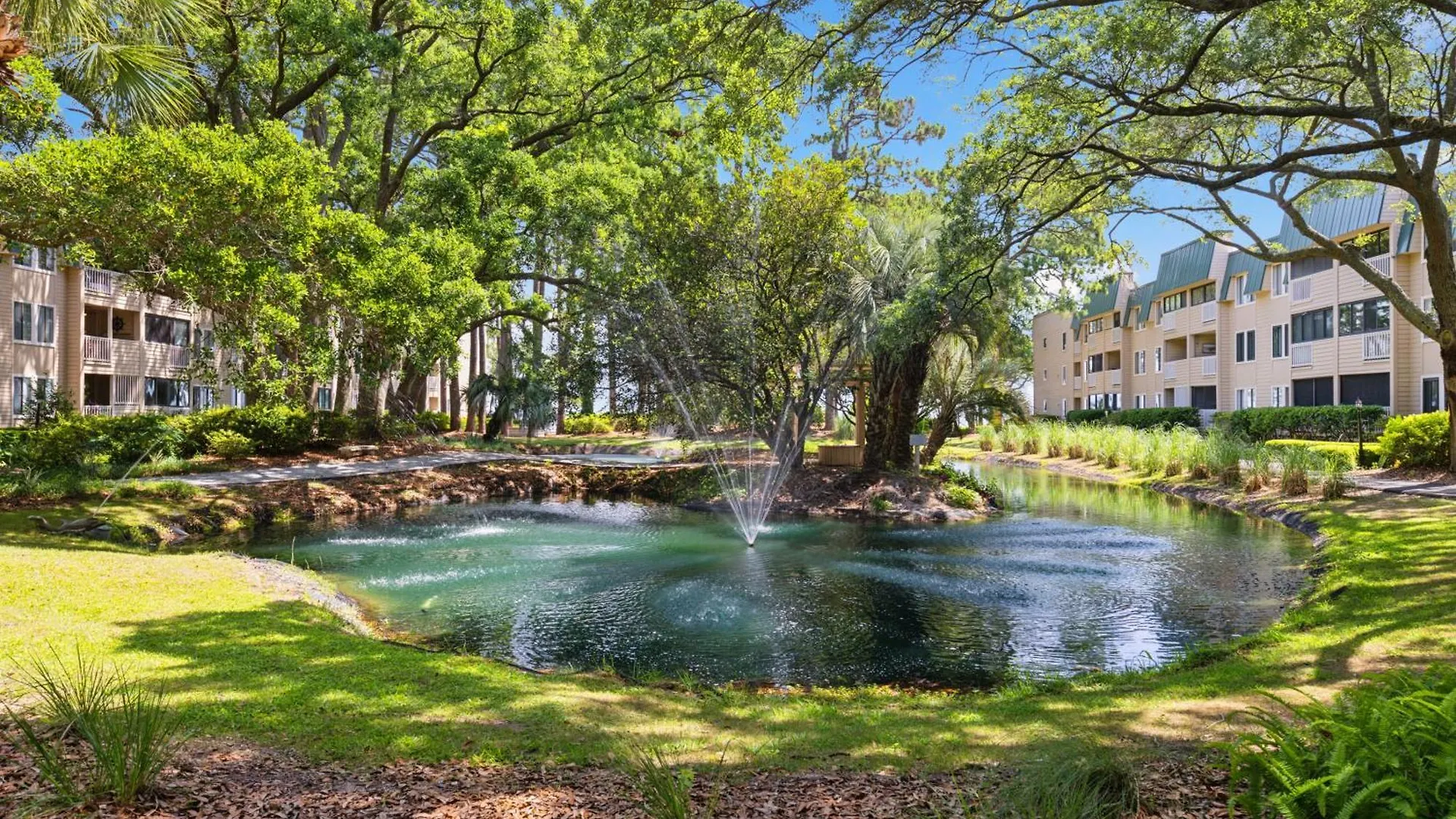 Peaceful Treetop - 2br/2ba Apartment