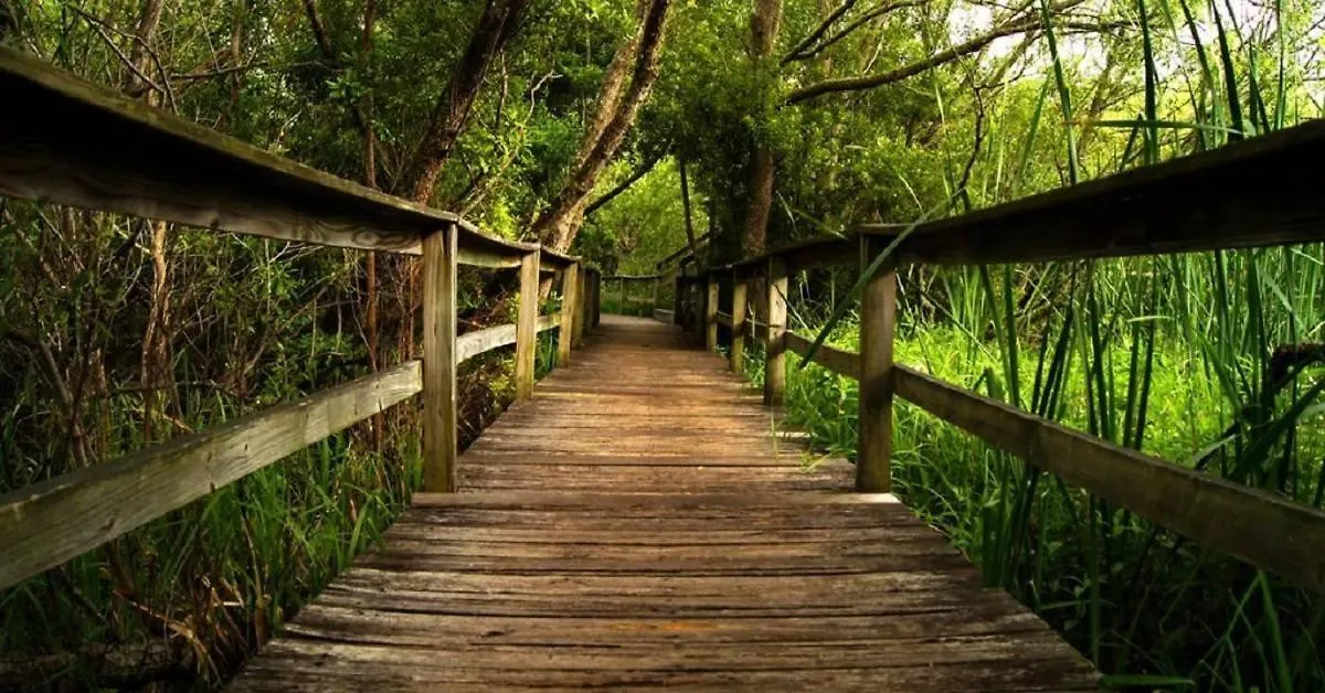 2113 Hilton Head *