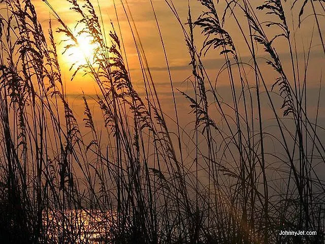Hickory Cove 18 Lägenhet Hilton Head Island