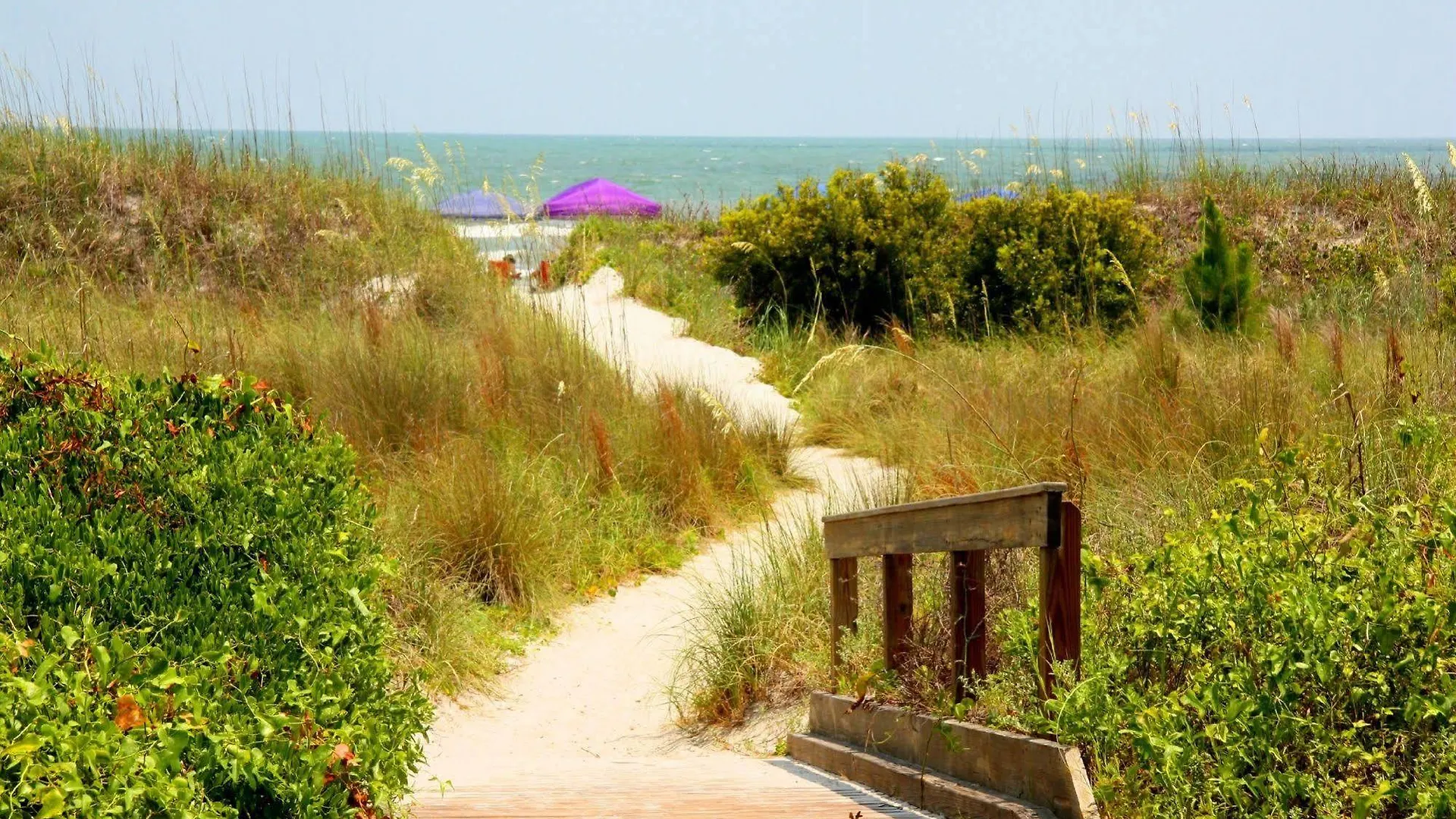 Hotel Hilton Head Value