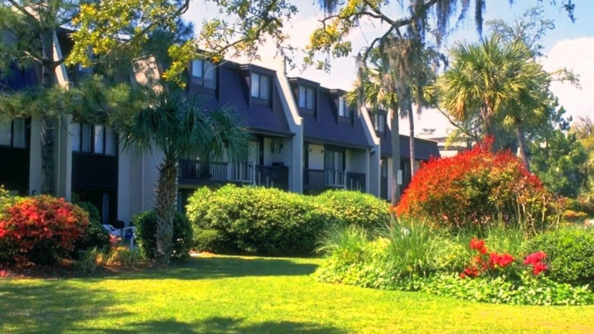 Hilton Head Value Hotel Hilton Head Island