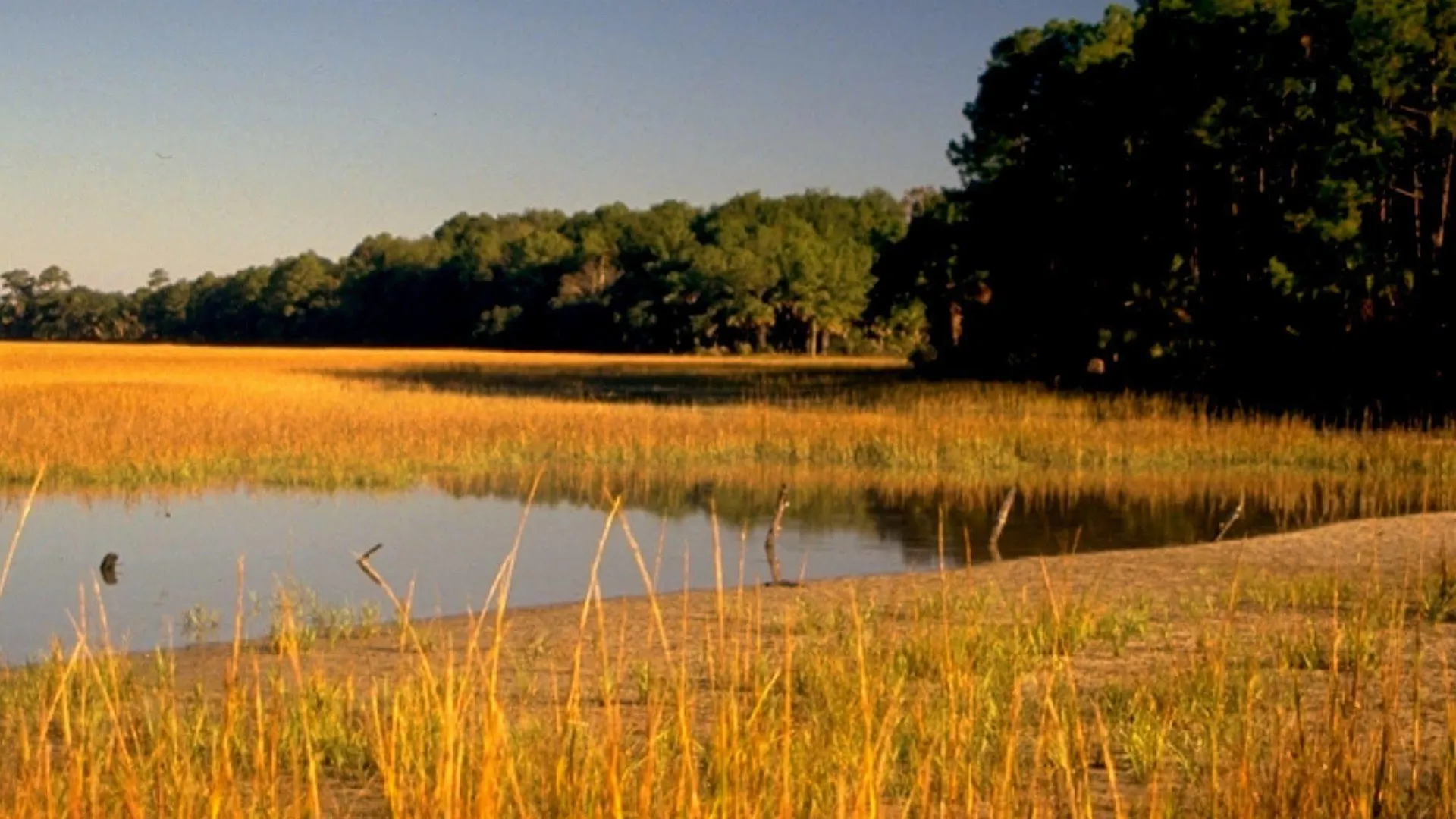 Hotel Hilton Head Value 3*