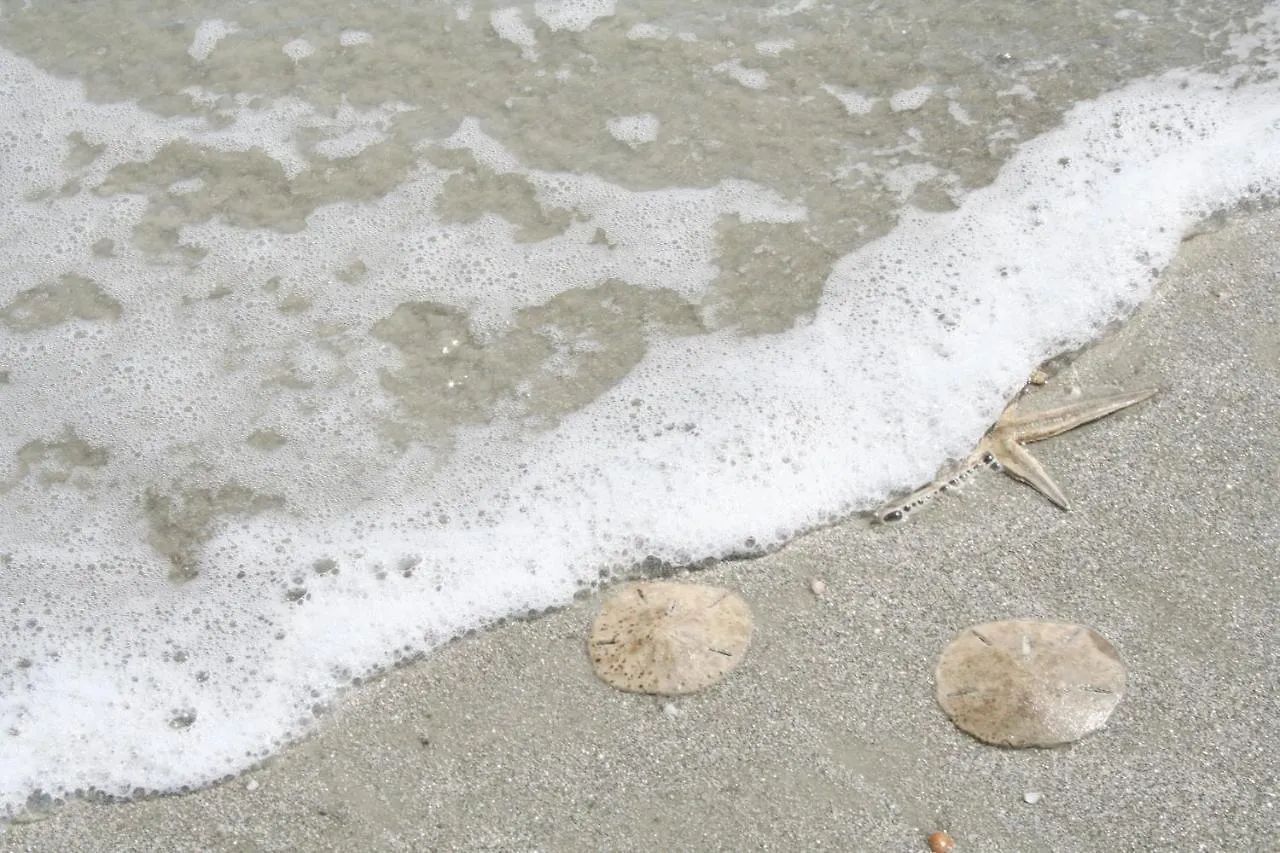 St. Andrews Common 1660 Villa Hilton Head Island