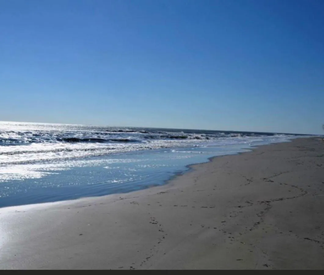 Windsor Place - Palmetto Dunes - Oceanfront. Pools. Holiday home