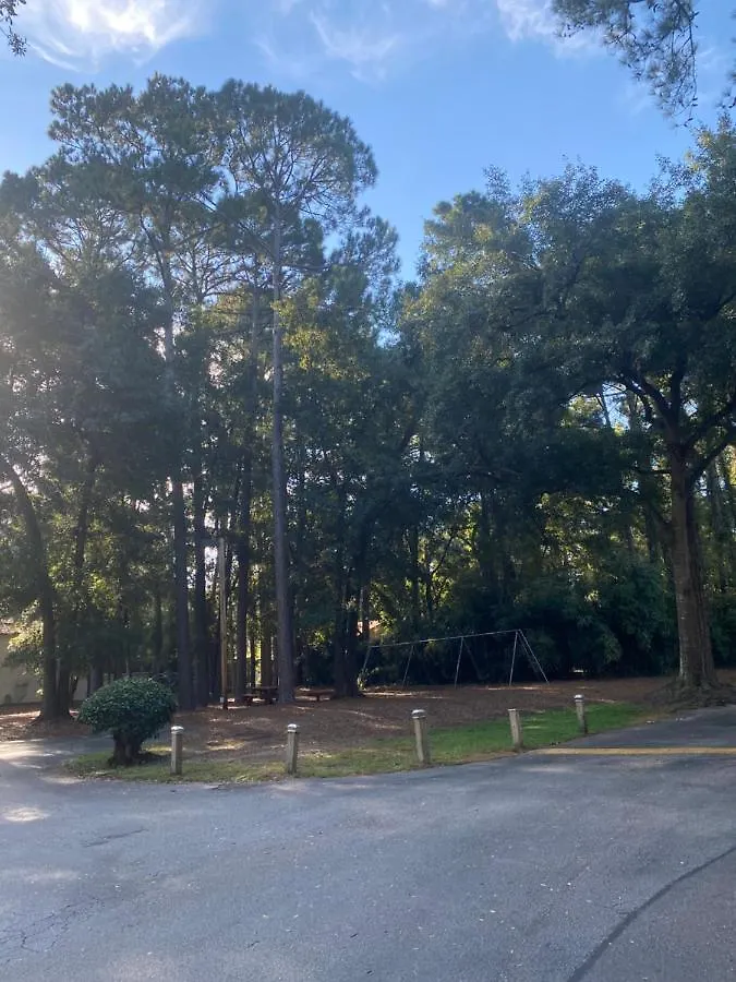 Hhi Homes- Newly Renovated Cozy Modern Pet-friendly Villa-ideal Location
