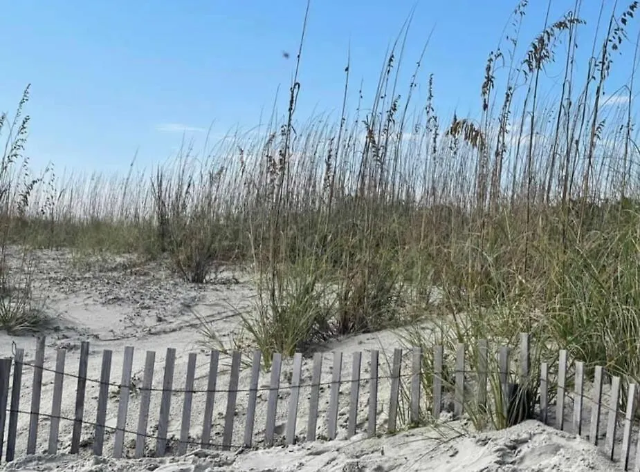 Hotel Marriott's Monarch At Sea Pines 3*