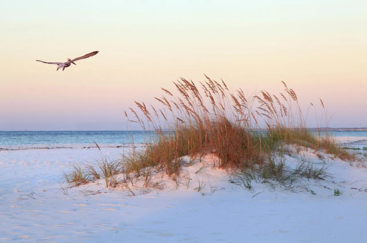 16 Snowy Egret * Hilton Head Island