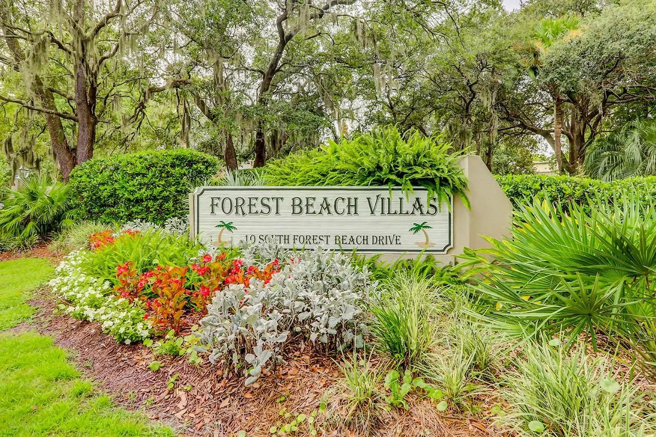 Forest 405