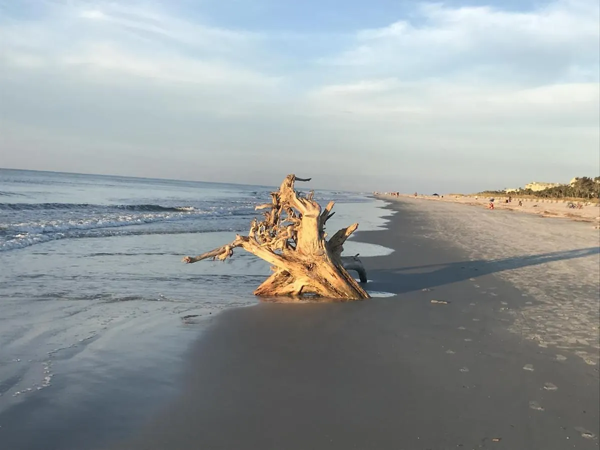 Beachfront With Ocean View Apartment Hilton Head Island