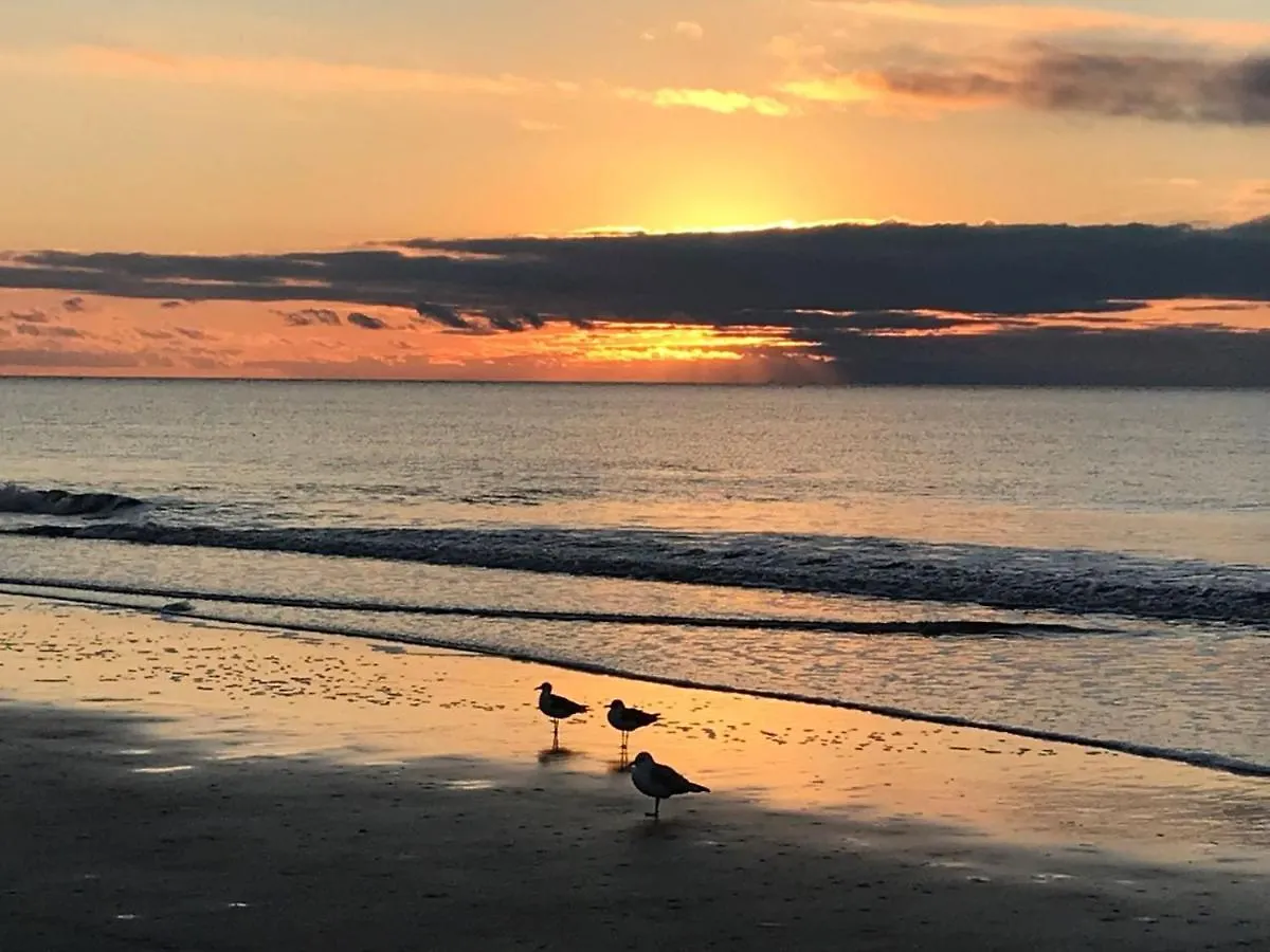 Beachfront With Ocean View * Hilton Head Island