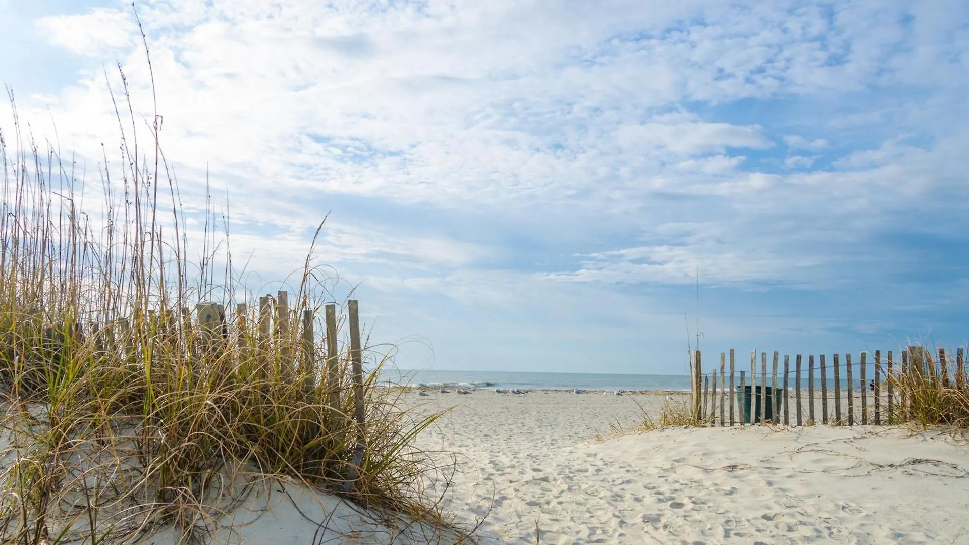 Dunes D4 Apartment *
