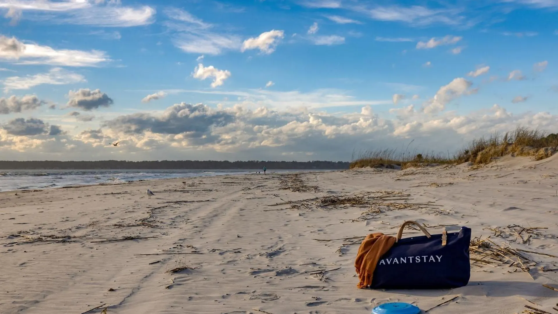 South Serenity By Avantstay Private Pool Access Holiday home Hilton Head Island