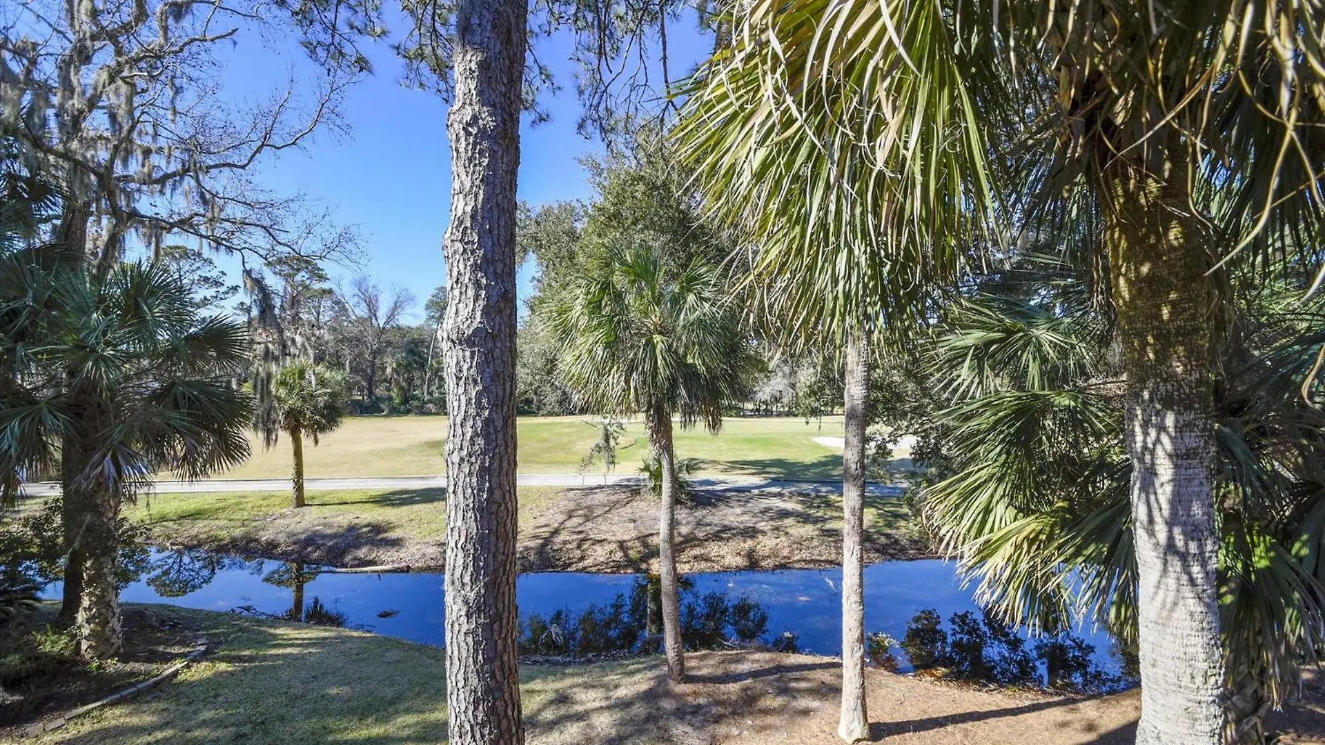 Tennismaster 801 * Hilton Head Island