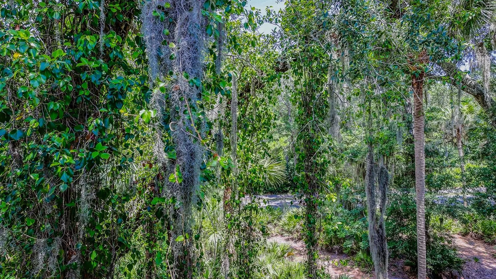 Treetops 5501 Villa