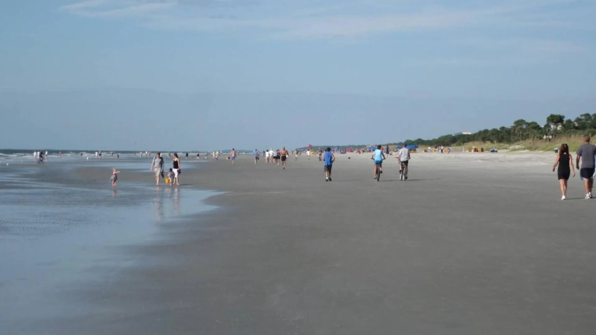 Holi-day By The Sea