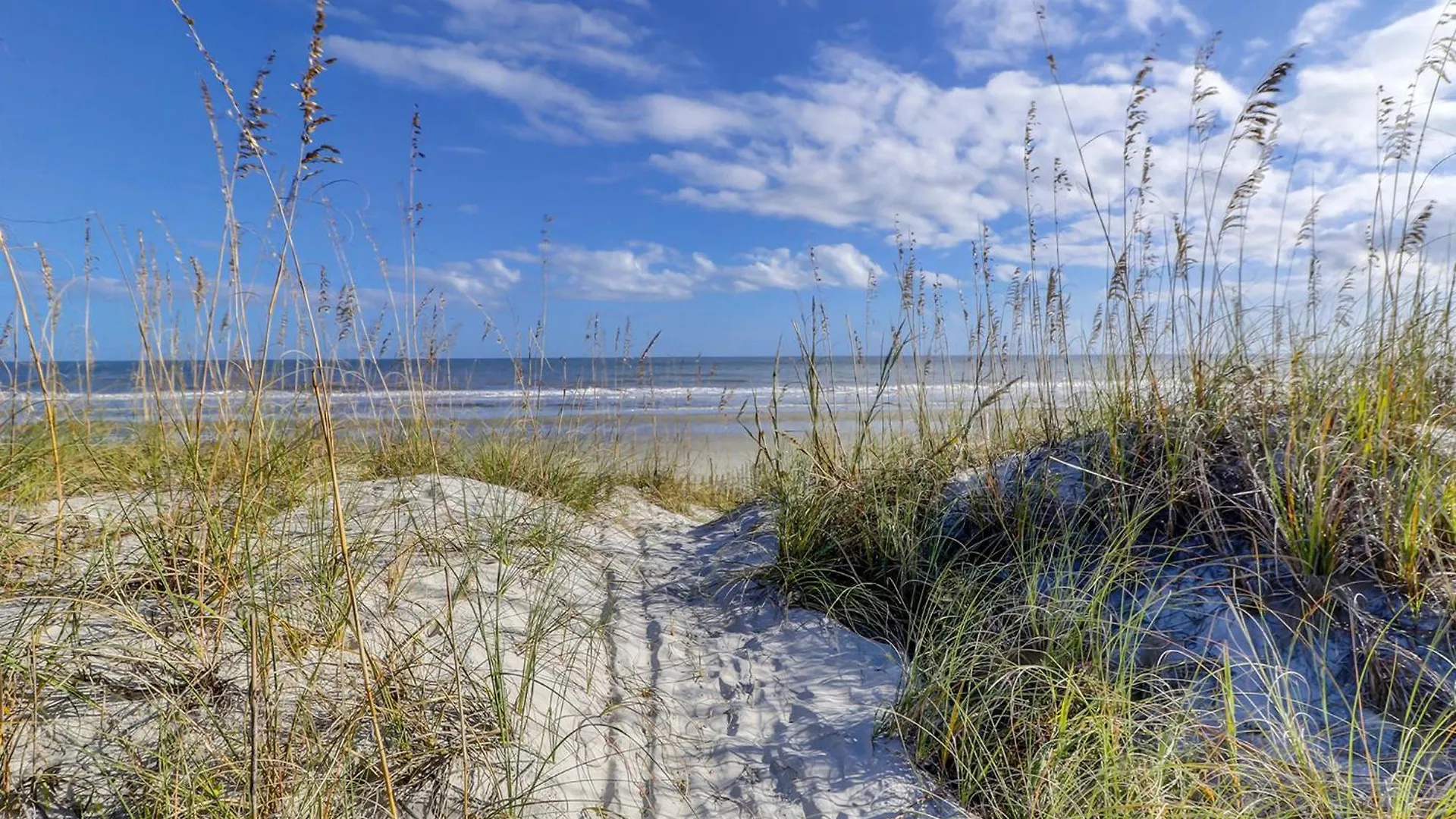 51 Dune Lane