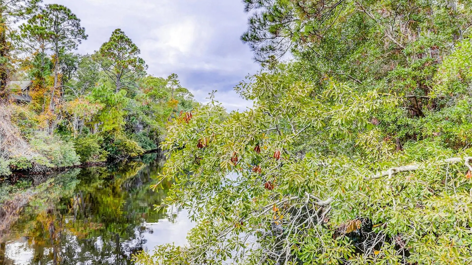 Appartamento Hickory Cove 39