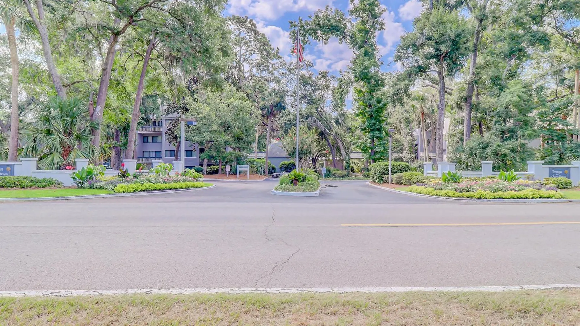 Treetops 4904