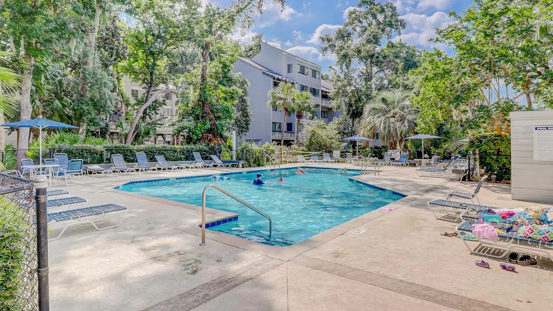 Treetops 4904