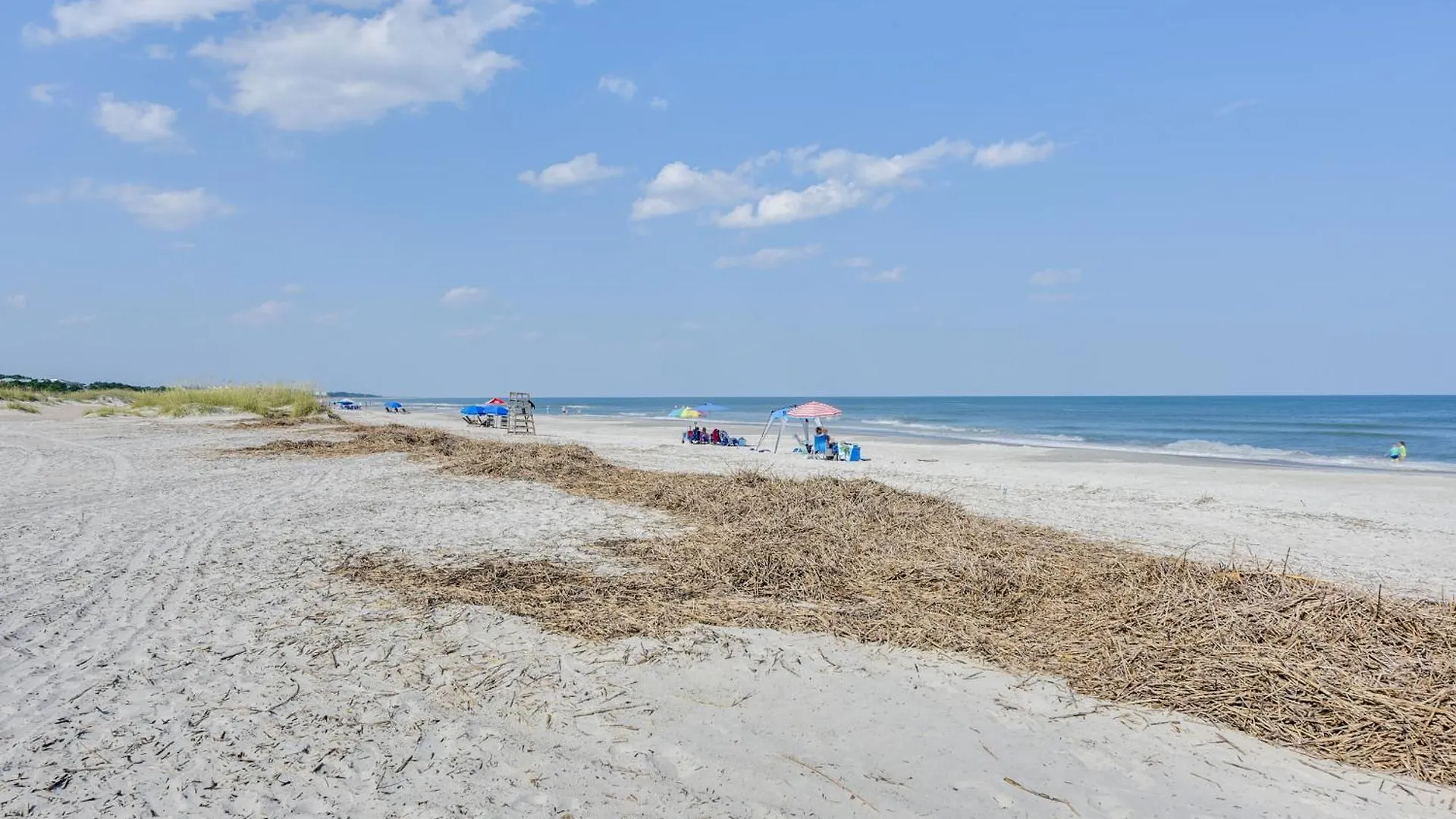Hilton Head With And Pool Access! *