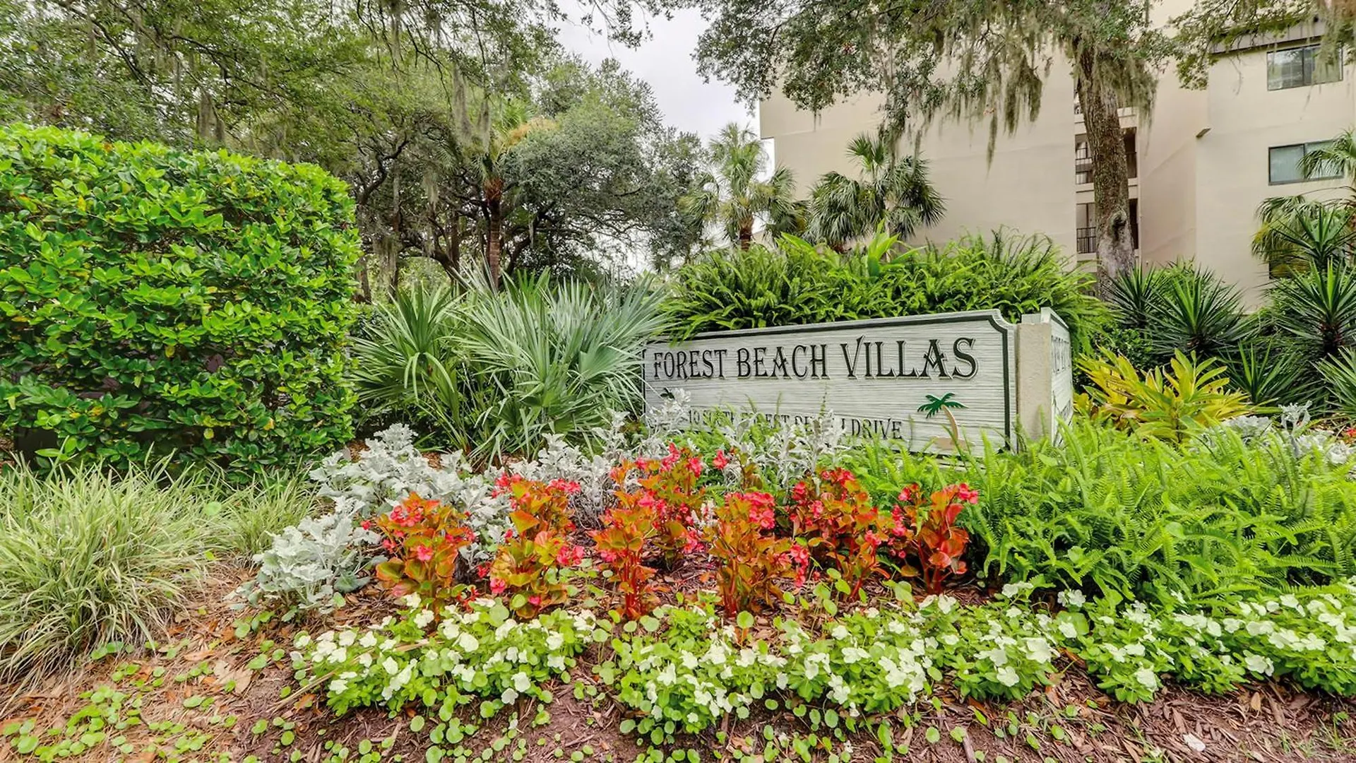 Forest Bch 415