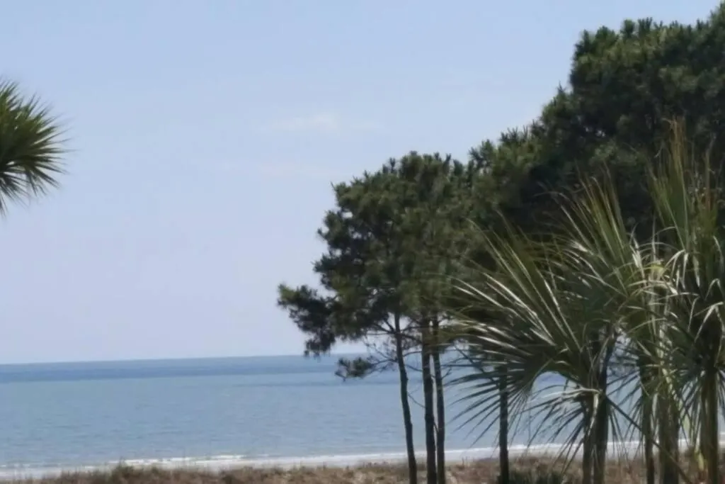 Crashin' Waves-oceanview Bikes And King Bed Hilton Head Island