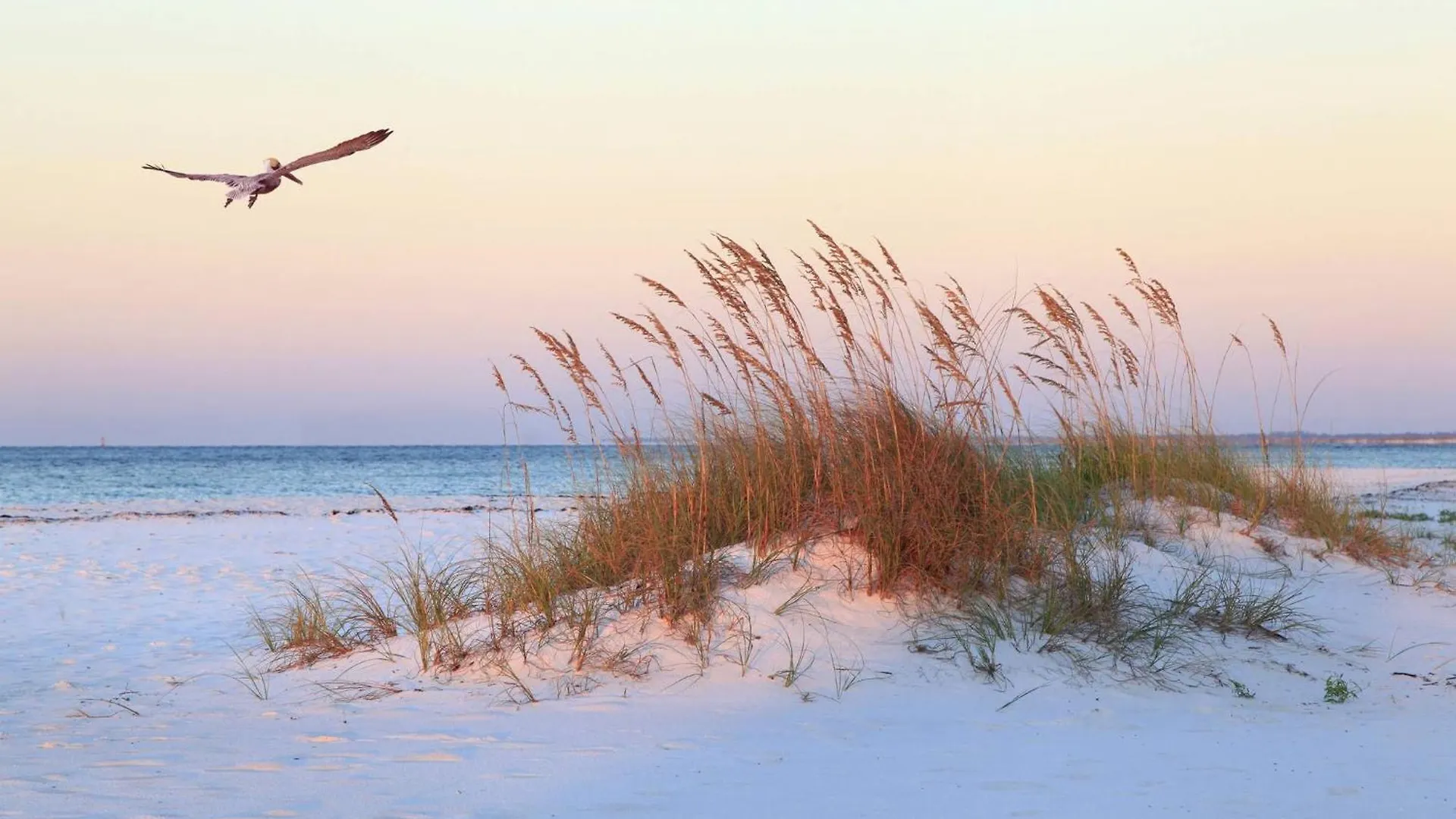 Holiday home 16 Hickory Cove Hilton Head Island