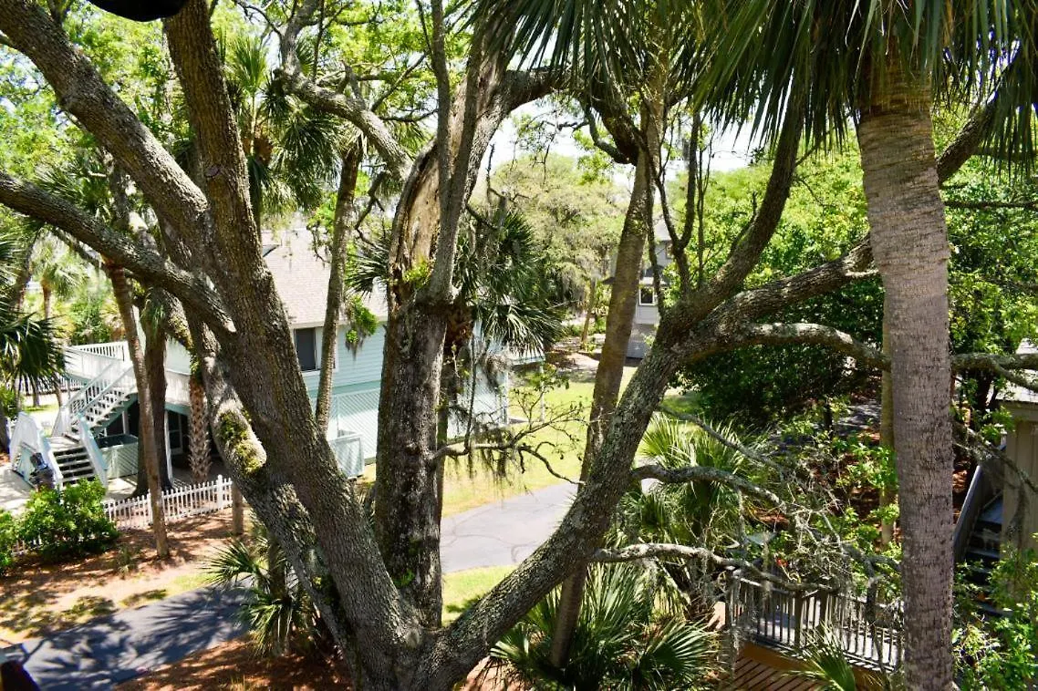 Oceanwood 113 *