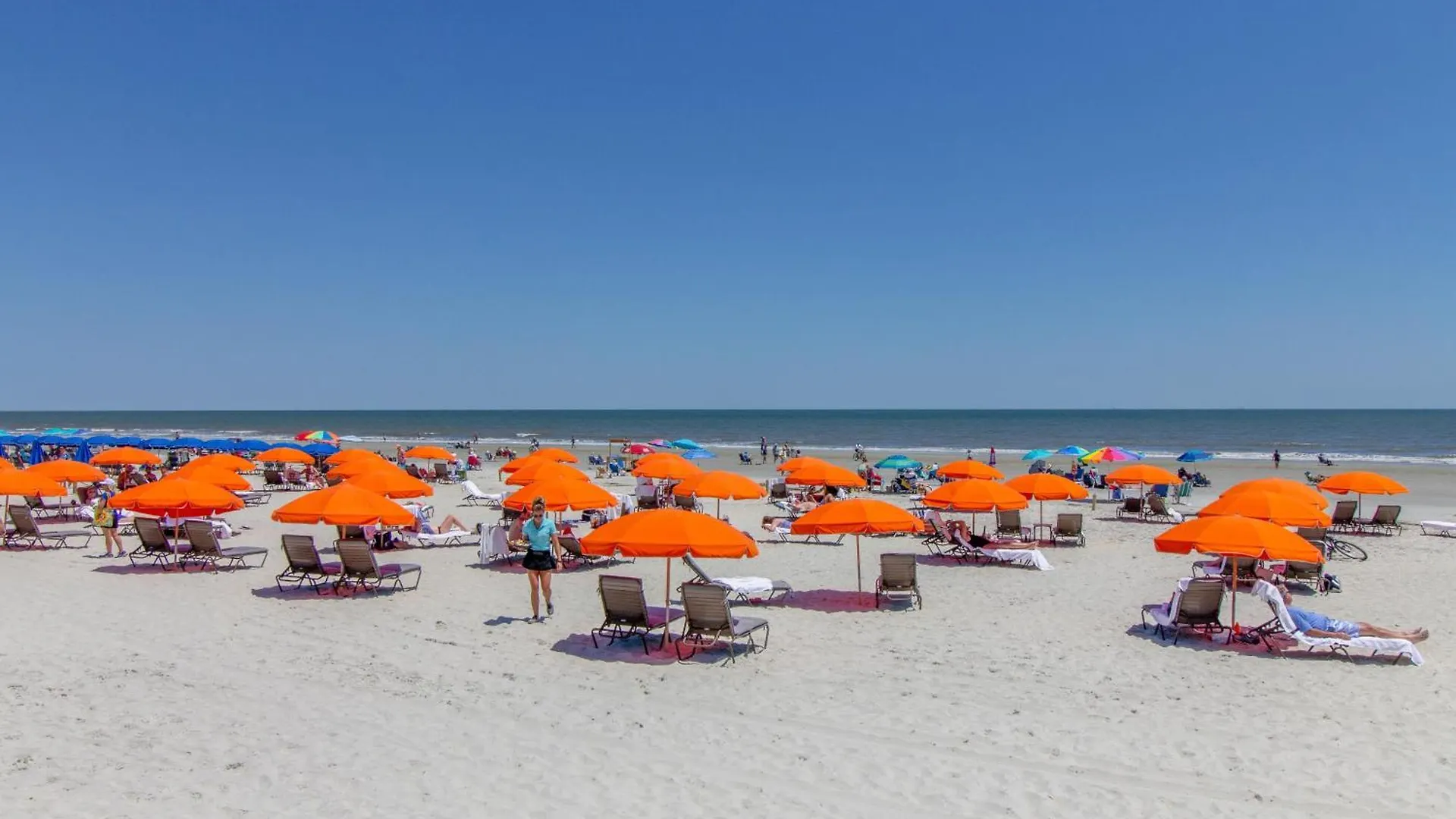 Bluff * Hilton Head Island