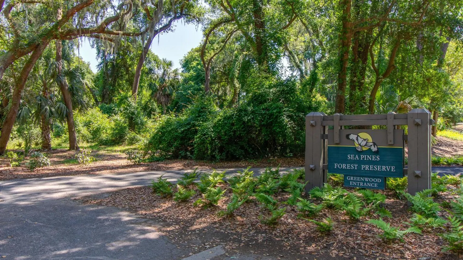 Apartment Bluff
