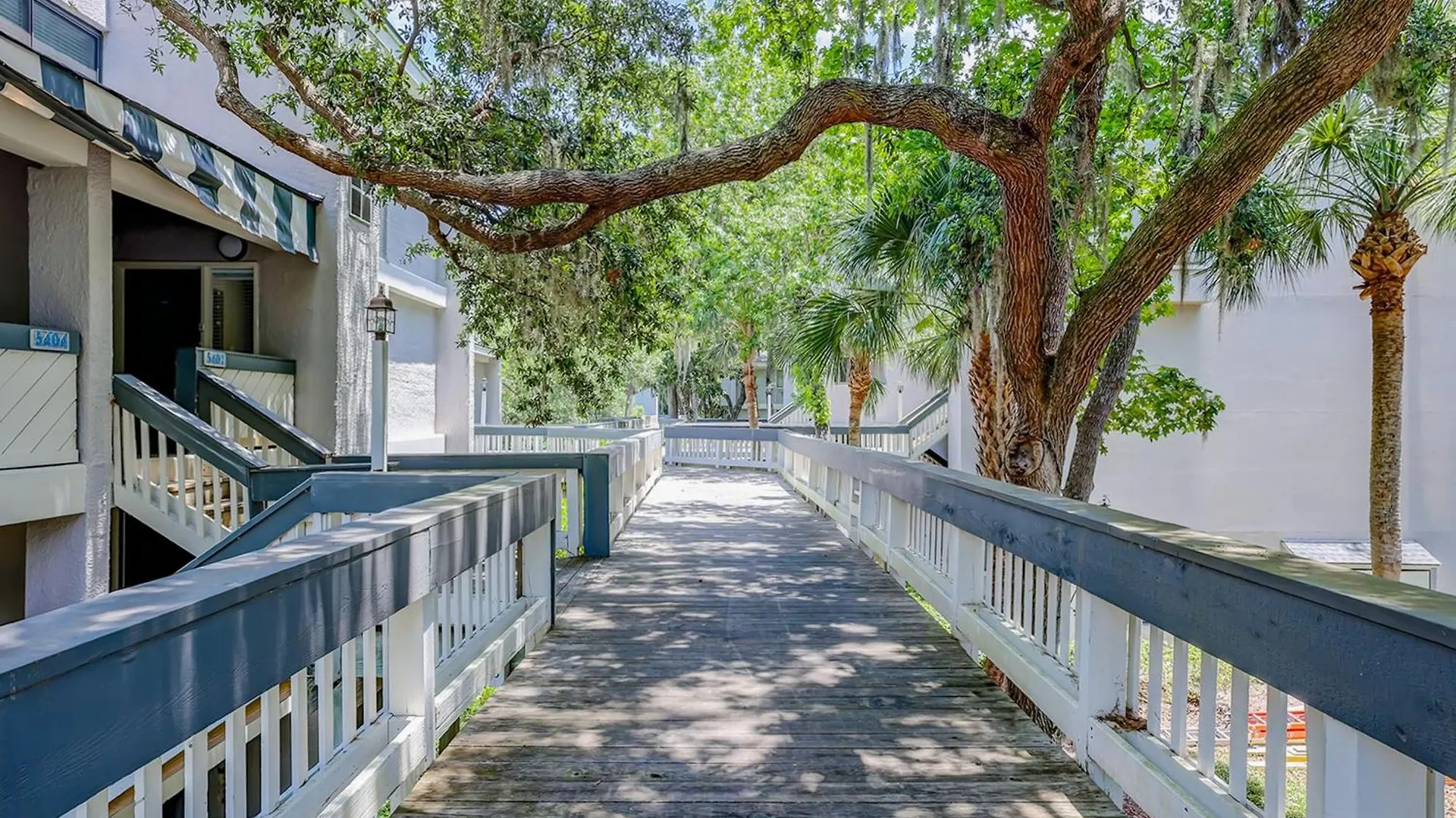 Tree Ocean Breeze *