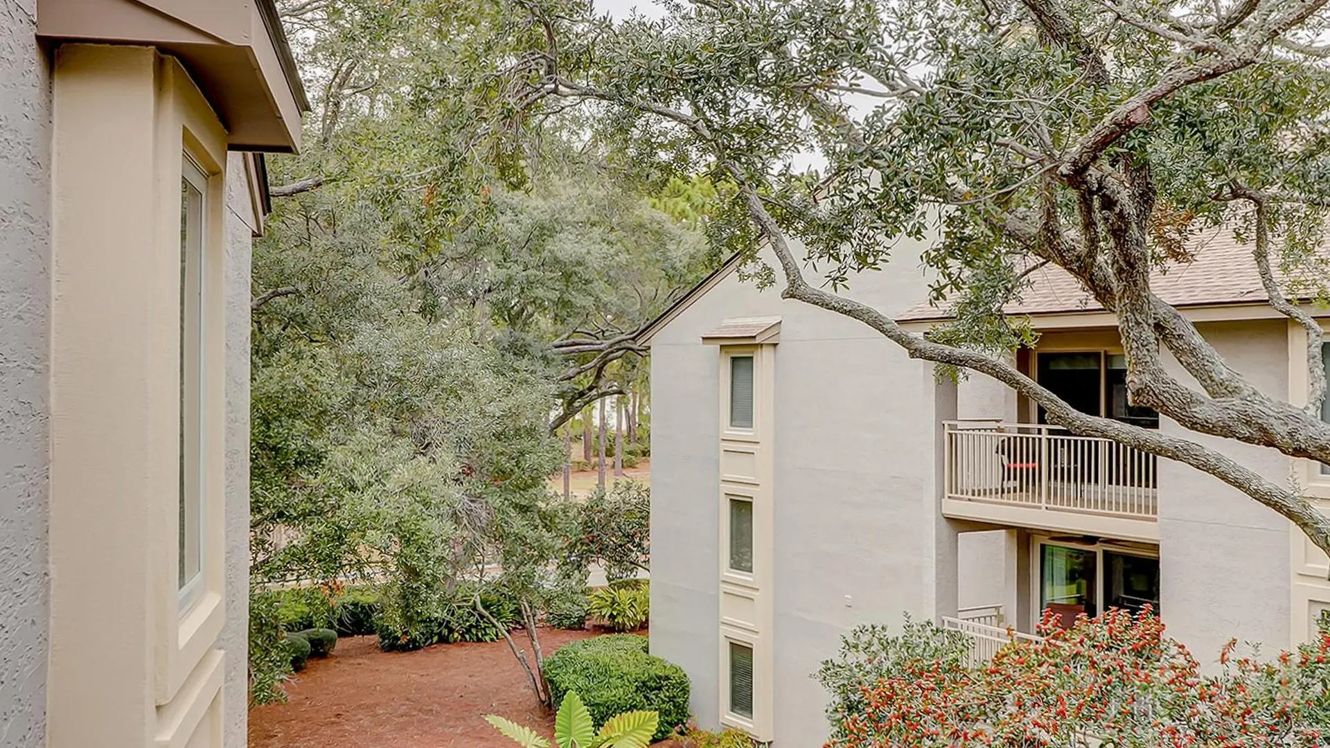 Apartment Bluff