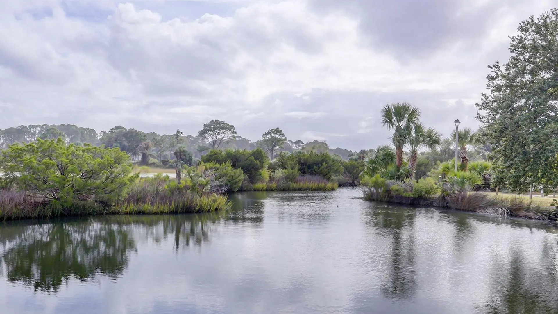 Hilton Head *