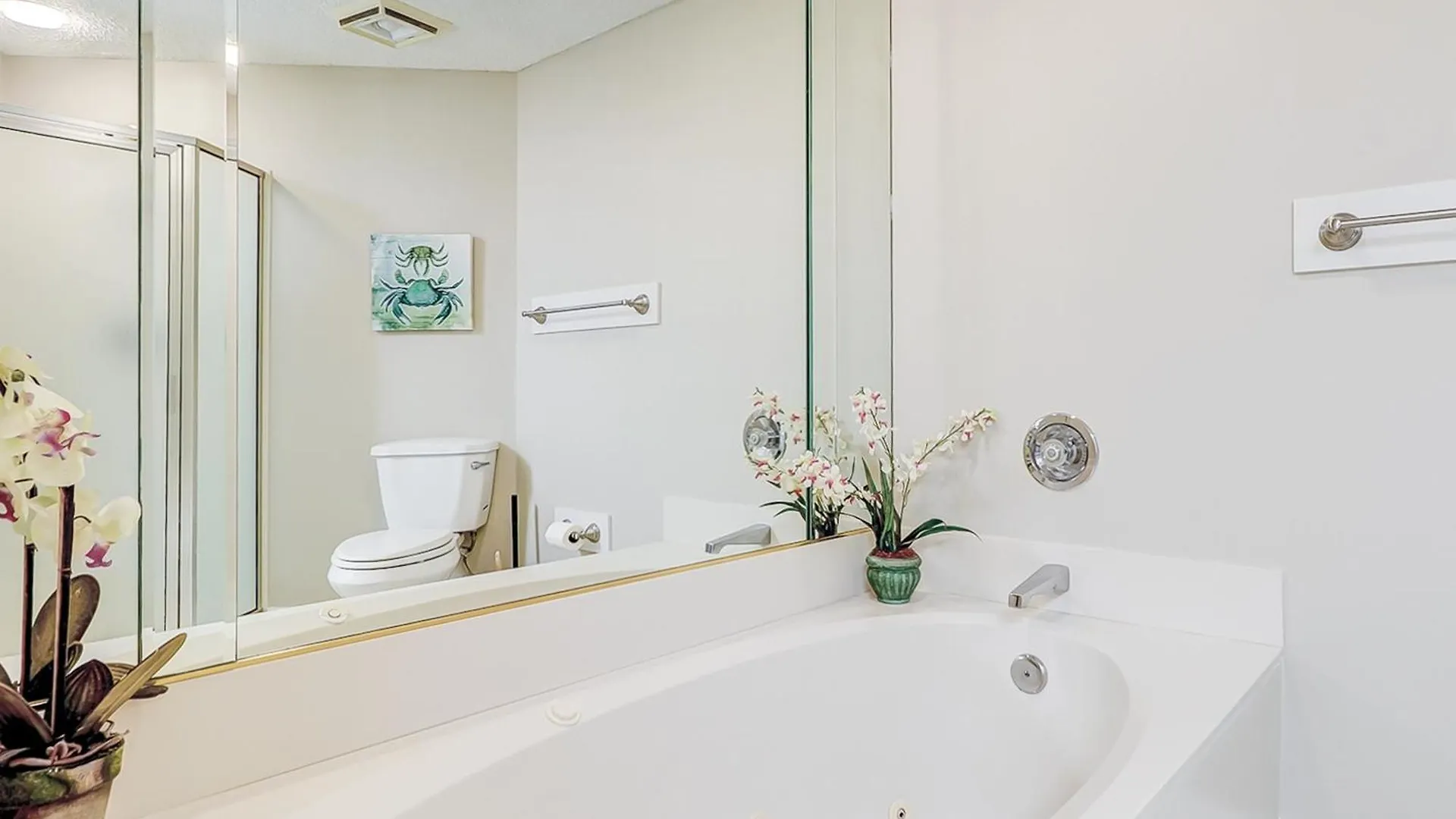 Windsor Place Apartment