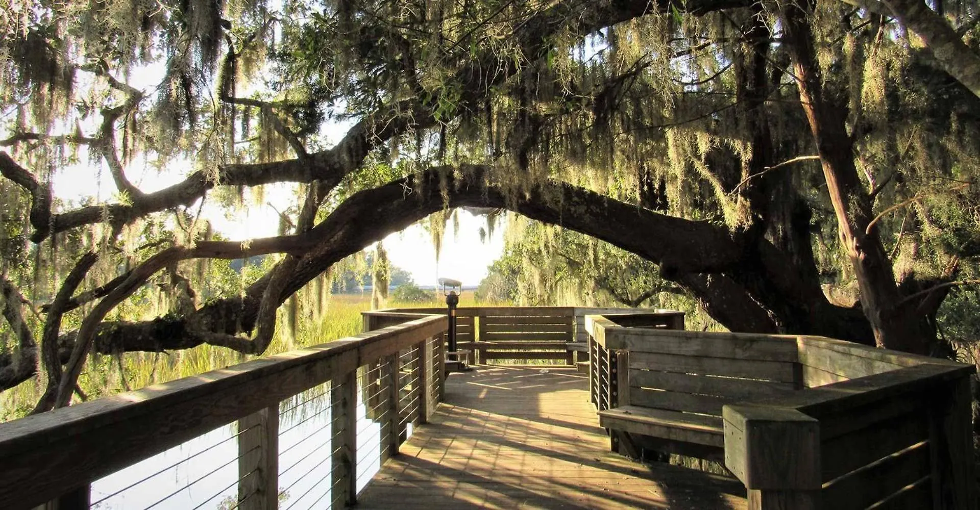 6 Junket Hilton Head Island