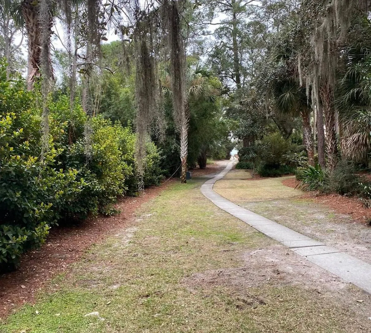 6 Wood Ibis - Host2coast *