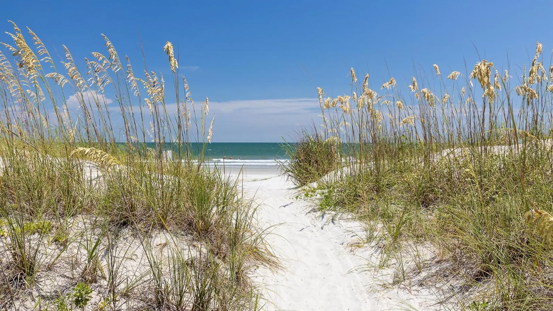 6 Wanderer - Host2coast Holiday home Hilton Head Island