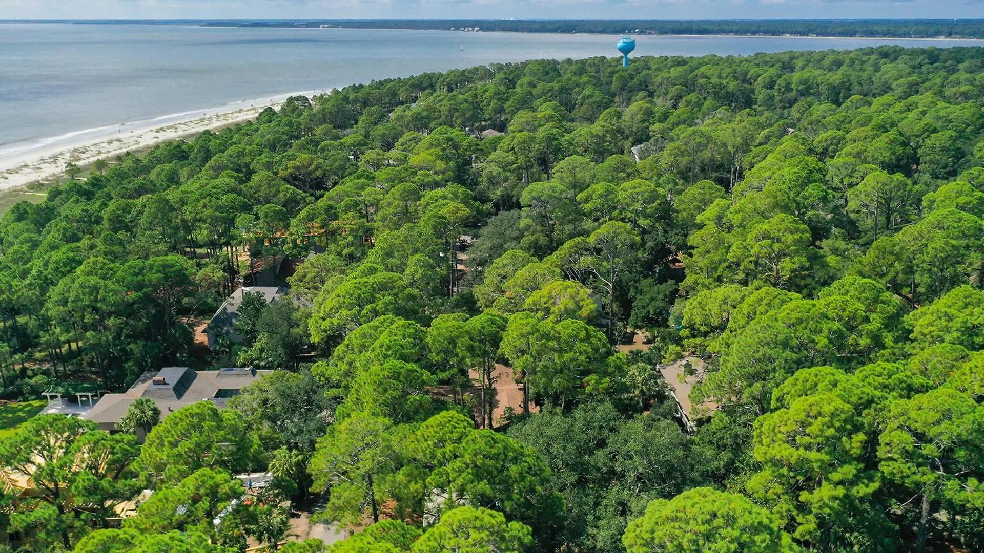 14 Cedar Waxwing - Host2coast Holiday home